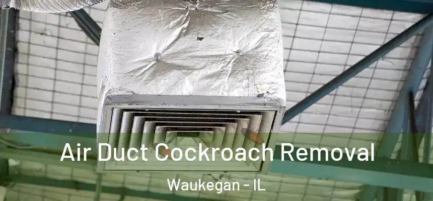 Air Duct Cockroach Removal Waukegan - IL