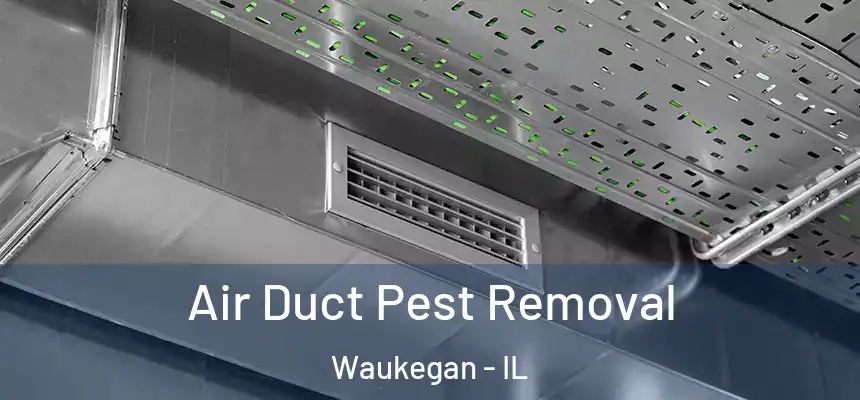 Air Duct Pest Removal Waukegan - IL