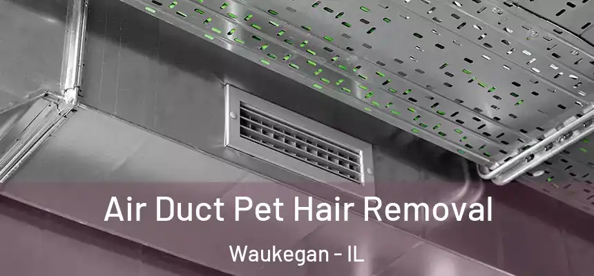 Air Duct Pet Hair Removal Waukegan - IL
