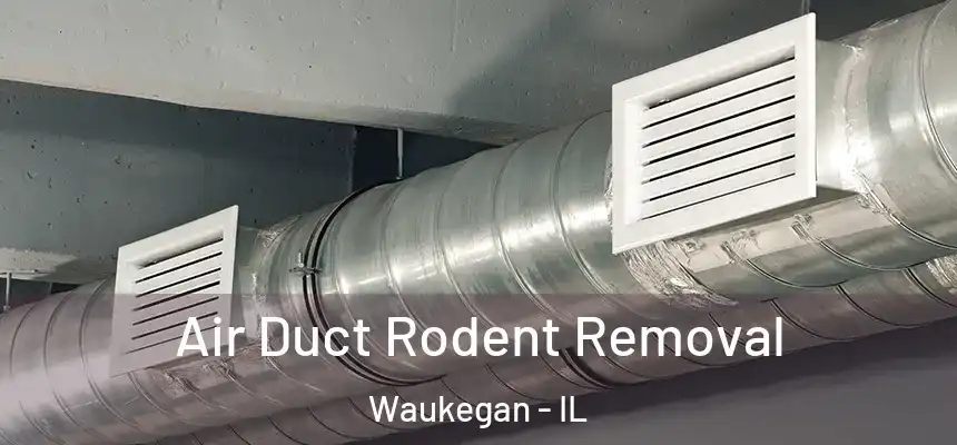 Air Duct Rodent Removal Waukegan - IL