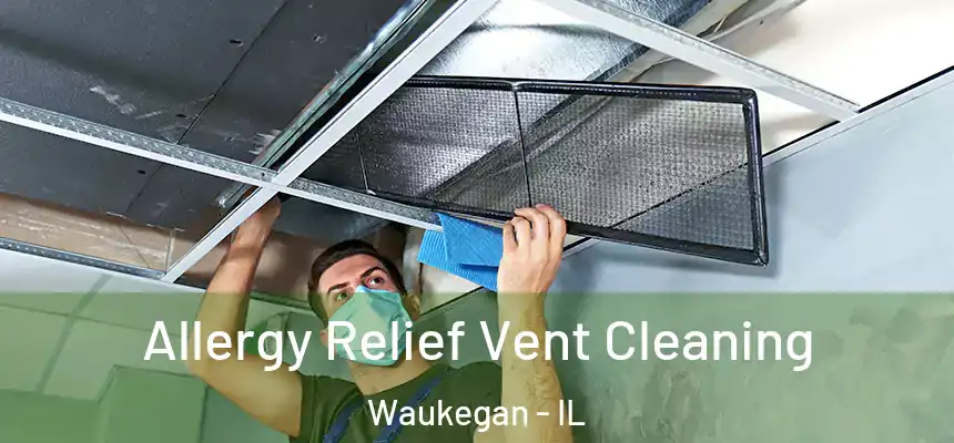Allergy Relief Vent Cleaning Waukegan - IL