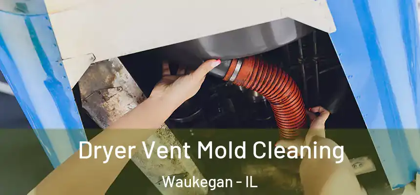 Dryer Vent Mold Cleaning Waukegan - IL