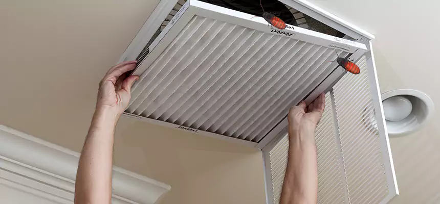 Preventive Cockroach-Proofing for Ducts in Waukegan