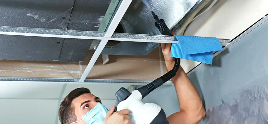 Our Air Duct Rodent Removal Services in Waukegan, IL