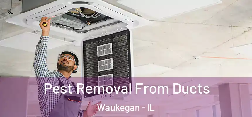 Pest Removal From Ducts Waukegan - IL