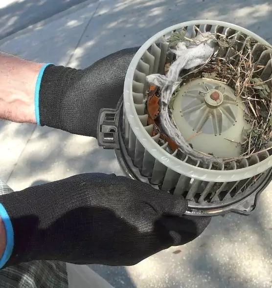 About Air Duct Rat Removal in Waukegan, IL