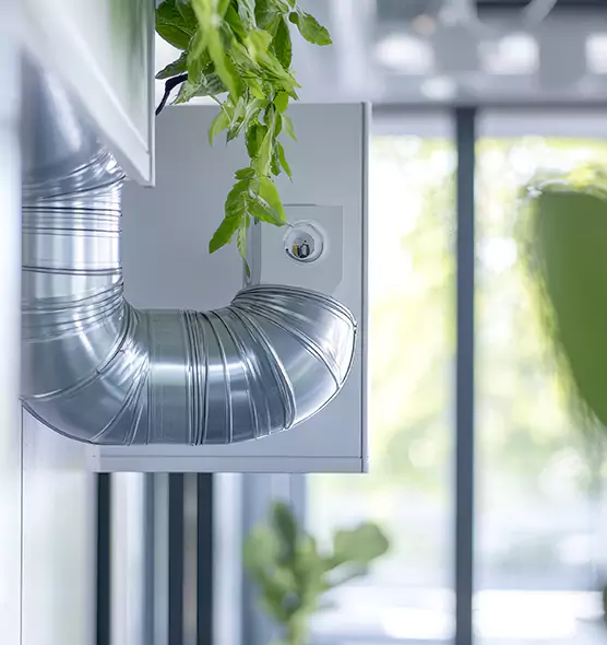 Professional Eco-Safe Dryer Vent Cleaning in Waukegan, IL