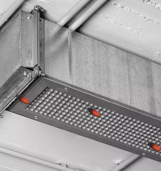 Affordable Insect Removal from Air Ducts in Waukegan, IL