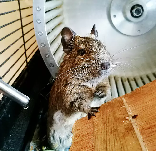 Why Homeowners & Businesses Trust Us Waukegan, IL