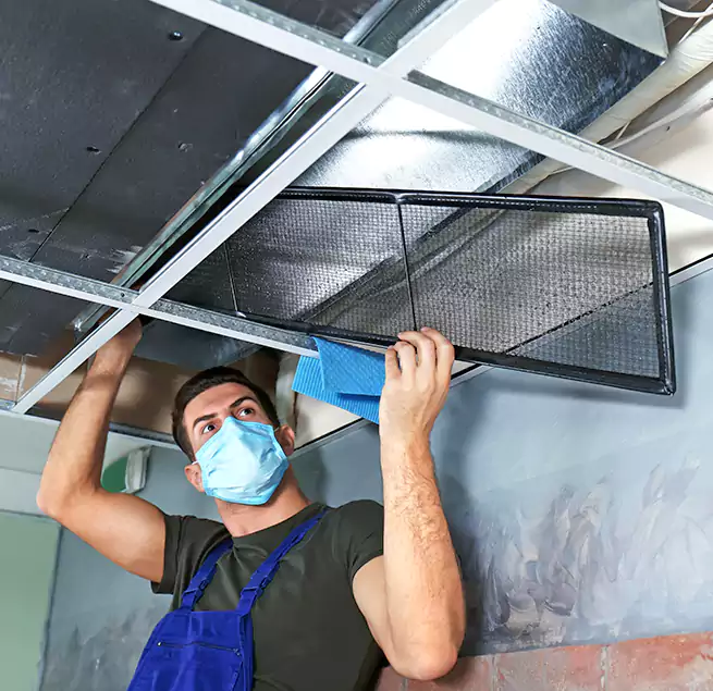 Why Homeowners Businesses Trust Us in Waukegan, IL